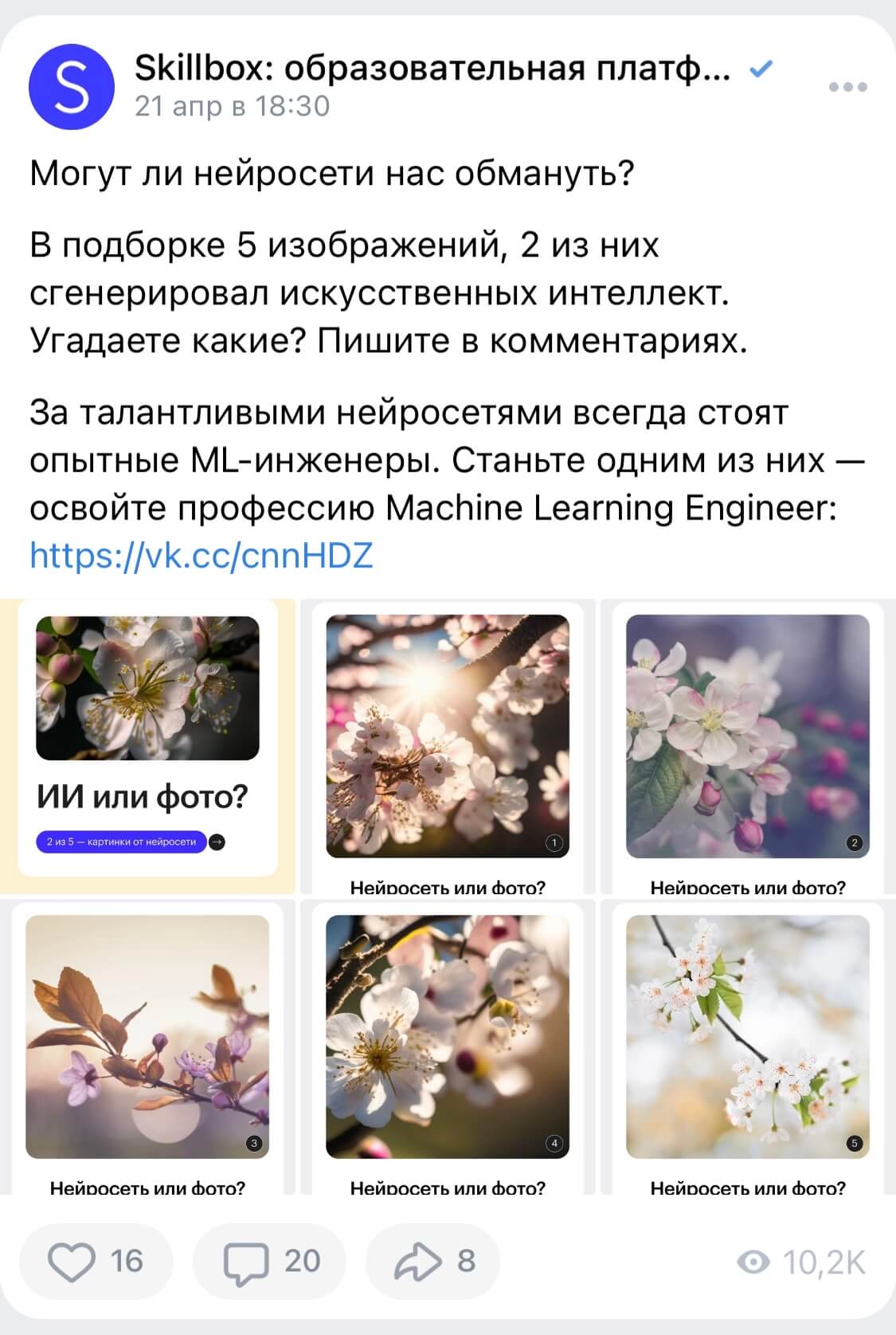 пост Skillbox