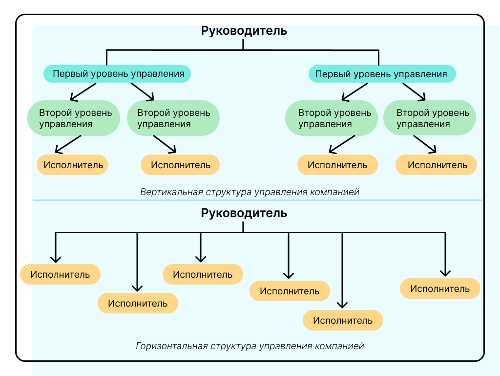 схемы вертикальной и горизонтальной структуры управления компаний