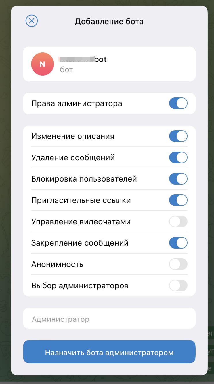 Добавление бота в качестве администратора.