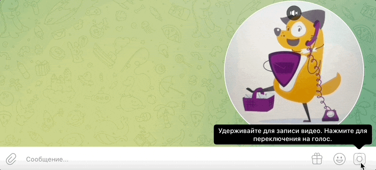Кнопка для записи голоса или видео.