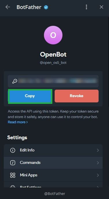 Как скопировать токен для чат-бота.