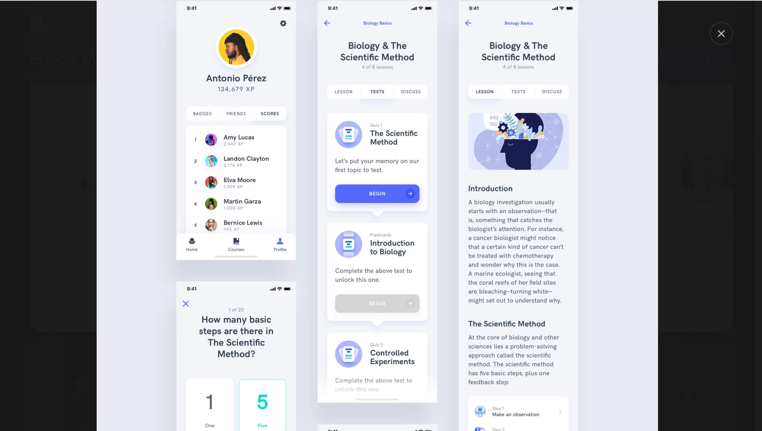 скриншот UI-кита мобильного приложения
