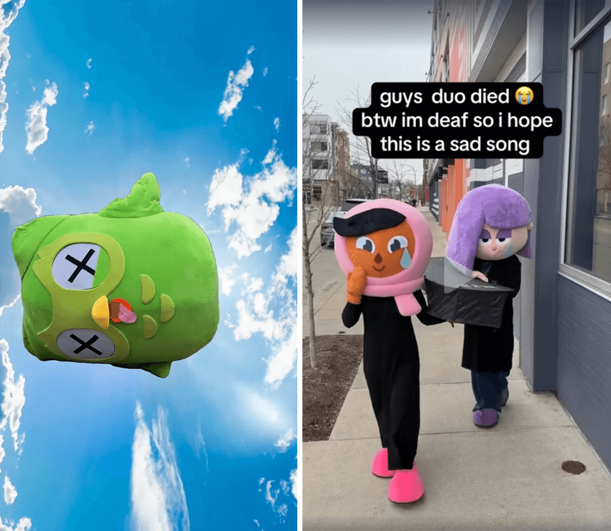 сова из Duolingo