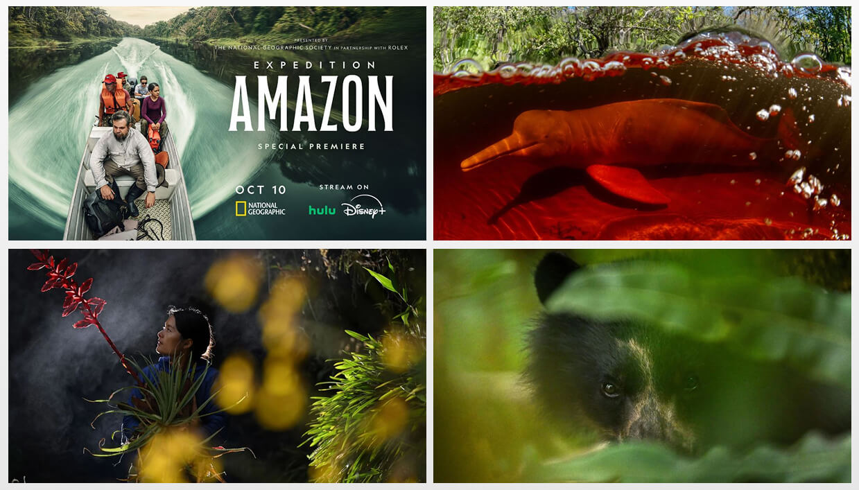 проект «Into the Amazon» от Томаса Пешкака