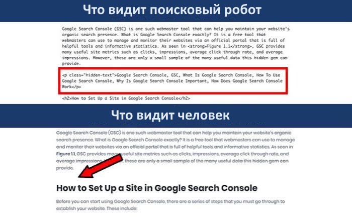 Пример клоакинга