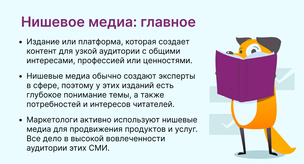 нишевое медиа это